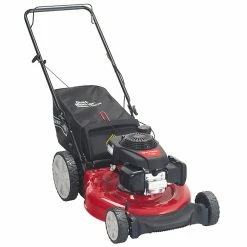 Best reviews of ✨ CRAFTSMAN Gas Push Mower - 2-in-1 - 160 cc - Red 👍