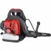 Cheap 😍 Craftsman 🎒 Backpack Blower - 2-Cycle Gas Engine - 46 cc - 490 cfm - 220 mph 🔔